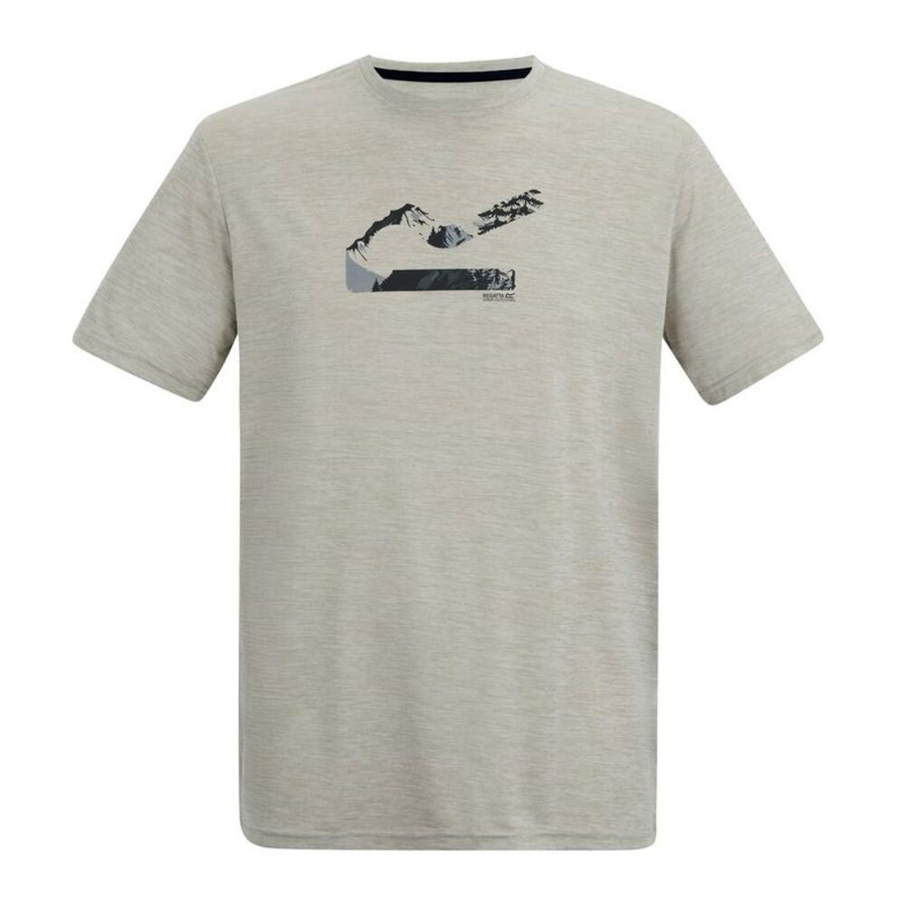 Regatta Mens Fingal Landscape Marl T-Shirt / Abbeystone Marl